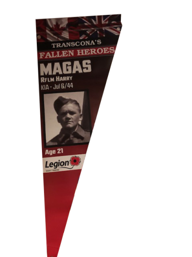 magas (1)